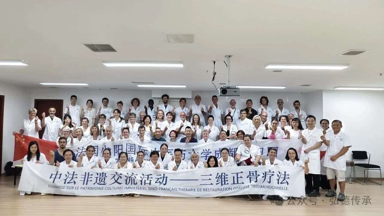 中法非遗交流会&mdash;&mdash;三维正骨疗法圆满成功